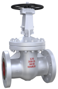 Gate Valve Class 300 Bolted Bonnet