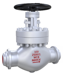 Globe Valve Class 2500 Bolted Bonnet