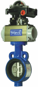 Pneumatic Actuator Operated CI & CS Body EPDM Butterfly Valve PN 10