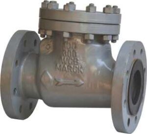 Non Return Valve Class 300 Swing Type Bolted Cover