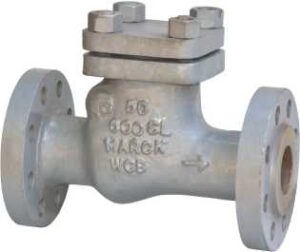Non Return Valve Class 900 Swing Type Bolted Cover