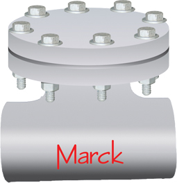 Forged Carbon Steel t Type Strainer