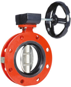 Wafer Type double Flange